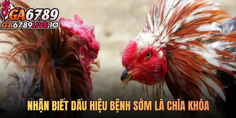 Nhận biết dấu hiệu bệnh sớm là chìa khóa