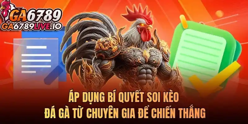 Áp dụng bí quyết soi kèo đá gà từ chuyên gia để chiến thắng