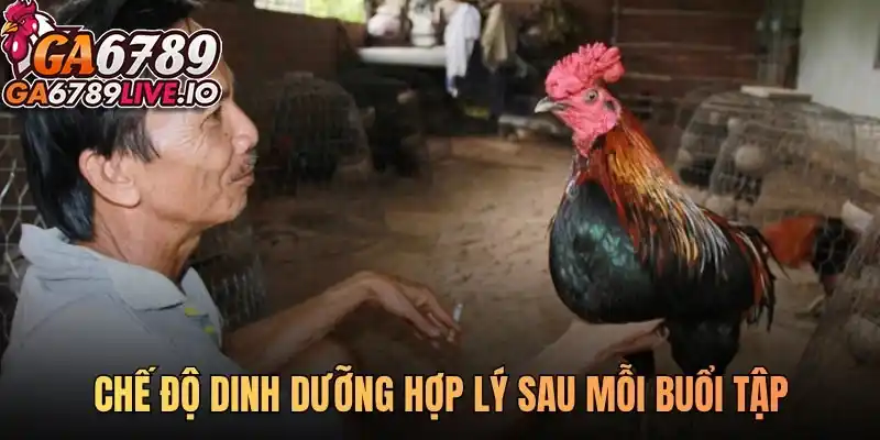 Chế độ dinh dưỡng hợp lý sau mỗi buổi tập