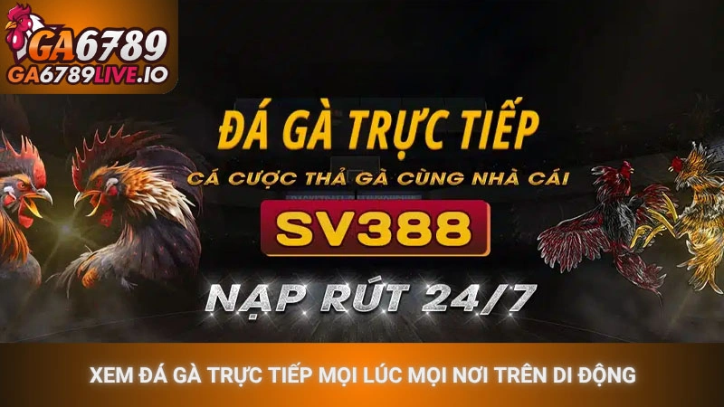 Xem đá gà trực tiếp mọi lúc mọi nơi trên di động